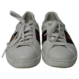 Gucci-Gucci Ace Sneakers in White Leather-White