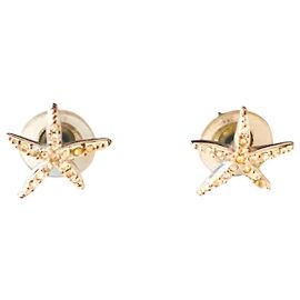 Swarovski Ohrringe Silber Hardware