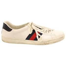 Gucci-Gucci Ace Trainers in White Leather-White