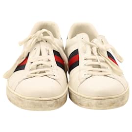 Gucci-Gucci Ace Trainers in White Leather-White