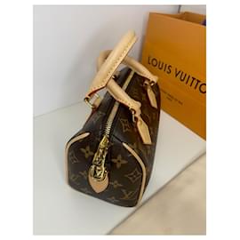 Louis Vuitton-Speedy Bandouliere 20-Marron
