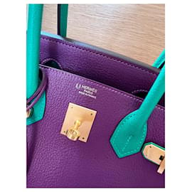 Hermès-Birkin-Multiple colors,Purple