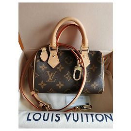 Louis Vuitton Speedy nano Multicolore