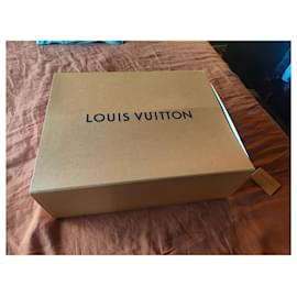 Louis Vuitton-ONTHEGO GM-Braun