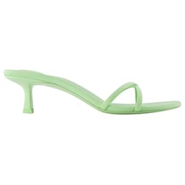 Alexander Wang-Dahlia 50 Sandals - Alexander Wang -  Mojito - Lycra-Green