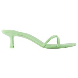 Dahlie 50 Sandalen - Alexander Wang - Mojito - Lycra Grün