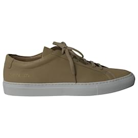 Autre Marque-Common Projects Achilles Low Top Sneakers in Nude Leather -Brown,Flesh