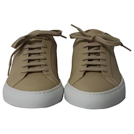 Autre Marque-Common Projects Achilles Low-Top-Sneaker aus Nude-Leder-Braun,Fleisch