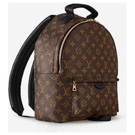 Louis Vuitton-LV Palm Springs backpack MM-Brown