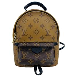 Louis Vuitton-Umgekehrtes Monogramm Mini Palm Springs-Braun