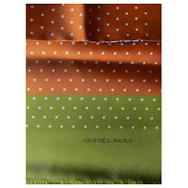Hermès-Bi-colored tubular silk scarf-Multiple colors