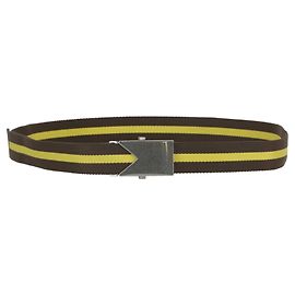 Bottega Veneta Striped Slide Buckle Belt Brown