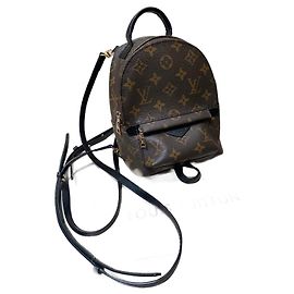 Louis Vuitton Backpack Palm Springs mini Dark brown