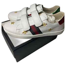 Gucci-Gucci ace-White