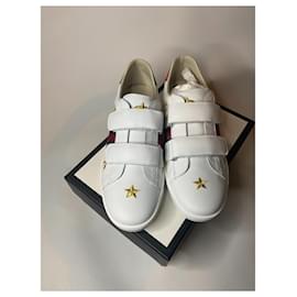 Gucci-Gucci ace-White