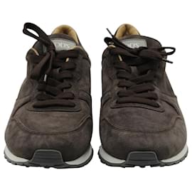 Tod's-Tod's Low Top Sneakers in Brown Suede -Brown