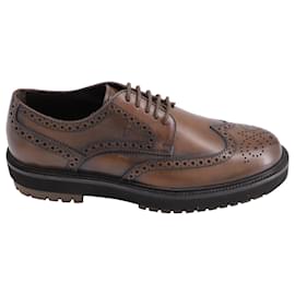 Tod's-Tod's Brogues Lace-ups in Brown Leather-Brown