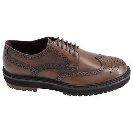 Tod's Brogues Stringate in Pelle Marrone Marrone