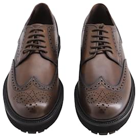 Tod's-Tod's Brogues Lace-ups in Brown Leather-Brown