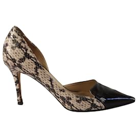 Jimmy Choo-Jimmy Choo Snakeskin Embossed Pumps in Multicolor Leather -Other