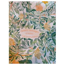 Hermès-wild carnations-Orange