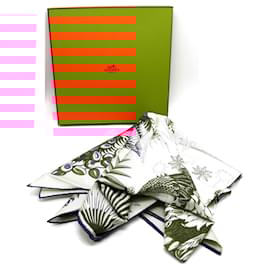 Hermès-Echarpe Hermès-Multicolore