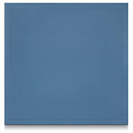 Louis Vuitton-LV Evermore shawl new-Blue