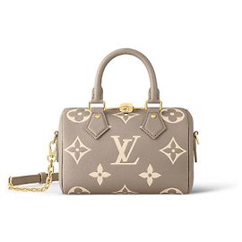 Louis Vuitton LV speedy 20 bicolour new Grey
