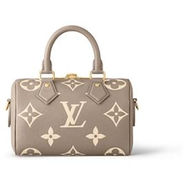 Louis Vuitton-LV speedy 20 bicolore neuf-Gris