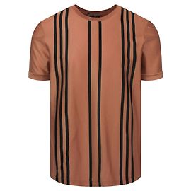 Chemise rayée à manches courtes Bottega Veneta Rose