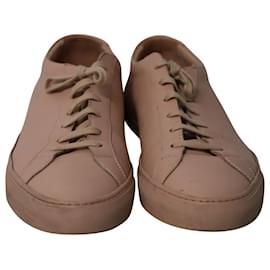 Autre Marque-Common Projects Achillies Sneakers in Pink Leather-Pink