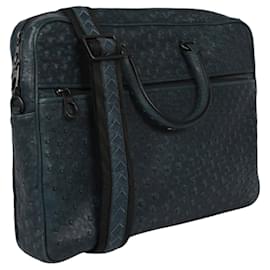 Bottega Veneta-Bottega Veneta Ostrich Leather Briefcase-Blue