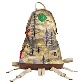 Gucci-Gucci The North Face x-Multiple colors