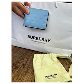 Burberry-Portafogli Piccoli accessori-Blu chiaro