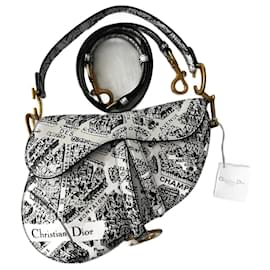 Dior Saddle plan de paris Blanc