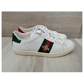 Gucci-As-Blanco