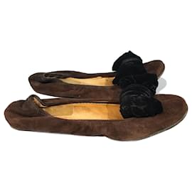 Lanvin-LANVIN Ballerines T.UE 36.5 suédée-Marron