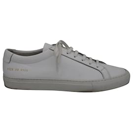 Autre Marque-Common Projects Original Achilles Low-Top Sneakers in White Leather-White