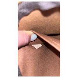 Louis Vuitton-Accesorios de múltiples bolsillos-Marrón oscuro