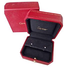 Cartier Orecchini Silver hardware