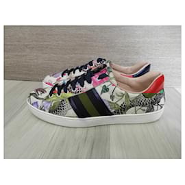 Gucci-Ace-Multiple colors