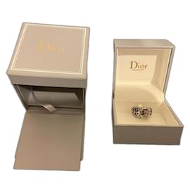 Dior-mitzah-Silvery