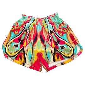 Etro Terry Cotton Shorts Multicolore Multiple colors