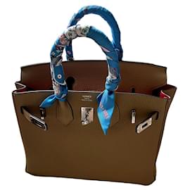 Hermès-Birkin 25 Trench togo leather/ Bougainvillea-Beige,Silver hardware