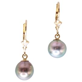 Autre Marque-Lever-back earrings with Tahitian pearls in yellow gold 750%O-Gold hardware