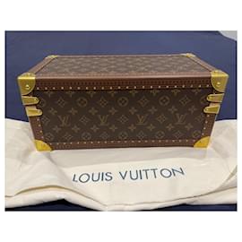 Louis Vuitton-Caja de accesorios-Castaño,Beige
