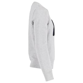 Ami Paris-Sweatshirt mit Ami Paris-Logo aus grauer Baumwolle-Grau