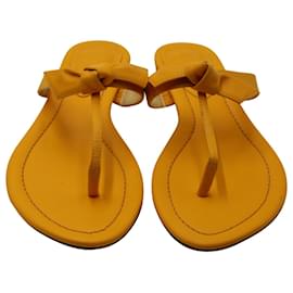 Alexandre Birman-Alexandre Birman Clarita Thong Sandals in Yellow Leather-Yellow