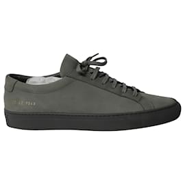 Autre Marque-Common Projects Achilles Premium Sneakers in Grey Suede-Grey