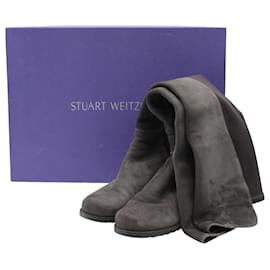 Stuart Weitzman-Stuart weitzman 5050 Stivali al ginocchio in camoscio grigio-Grigio
